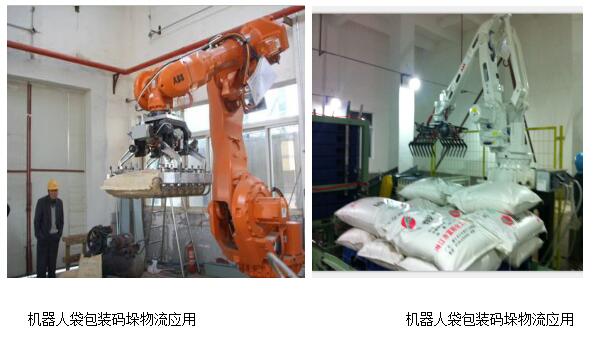 常规全自动包装码垛线(图5)